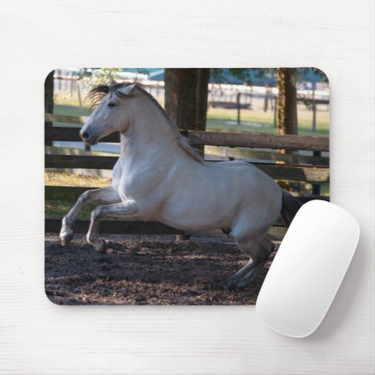 Charge Mousepad Muismat (Met muis)