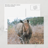 Charging Rhino Briefkaart (Voorkant / Achterkant)
