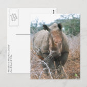 Charging Rhino Briefkaart (Voorkant / Achterkant)
