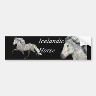 Charismatic Bumpersticker