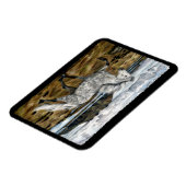 Charismatic IJslands paard Magneet (Linkerzijde)