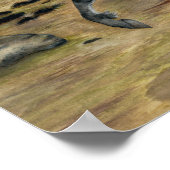 Charismatic ~ Poster (Hoek)