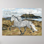 Charismatic ~ Poster (Voorkant)