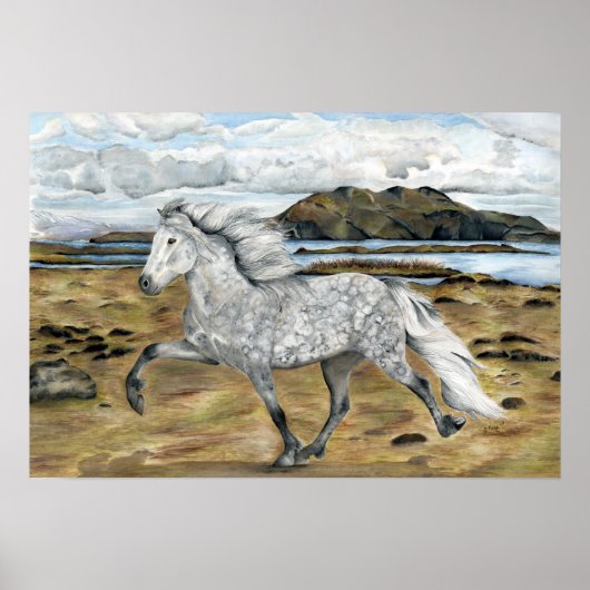 Charismatic ~ Poster (Voorkant)