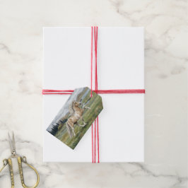 Charismatische Pinto IJslandse Merrie aquarel Cadeaulabel