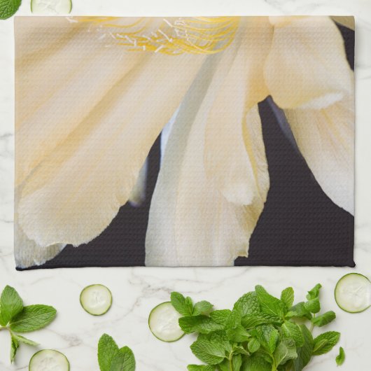 Charlemagne Echinopsis cactus bloom Theedoek (Gevouwen)