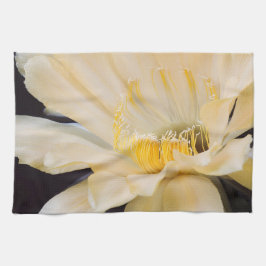 Charlemagne Echinopsis cactus bloom Theedoek