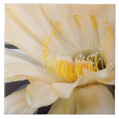 Charlemagne Echinopsis cactus in bloom Tegeltje (Voorkant)