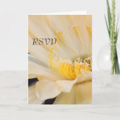 Charlemagne Echinopsis in bloei RSVP (Voorkant)