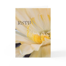 Charlemagne Echinopsis in bloei RSVP