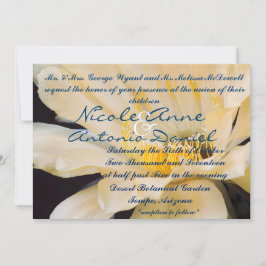 Charlemagne Echinopsis in bloom Kaart