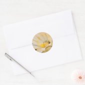 Charlemagne Echinopsis in bloom Ronde Sticker (Envelop)
