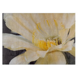 Charlemagne Echinopsis in bloom Snijplank