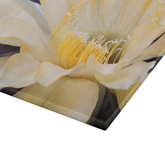 Charlemagne Echinopsis in bloom Snijplank (Hoek)