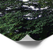 Charlemagne Poster (Hoek)