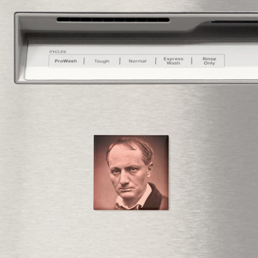 Charles Baudelaire Magnet (Insitu (Vaatwasser))