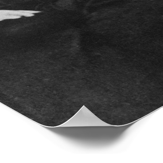 Charles Baudelaire met Engravings, c.1863 Poster (Hoek)