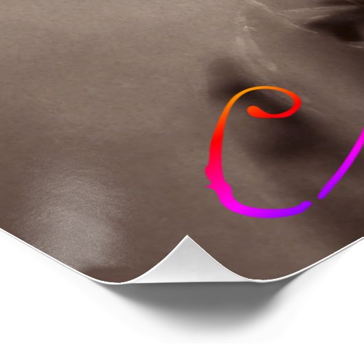 Charles Baudelaire Poster (Hoek)