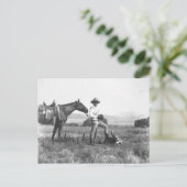 Charles Belden met paard en schedel. Briefkaart (Staand voorkant)