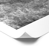 Charles Belden met paard en schedel. Poster (Hoek)