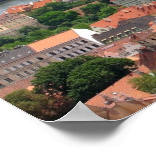 Charles Bridge Poster (Hoek)