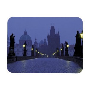 Charles Bridge Prague Magneet