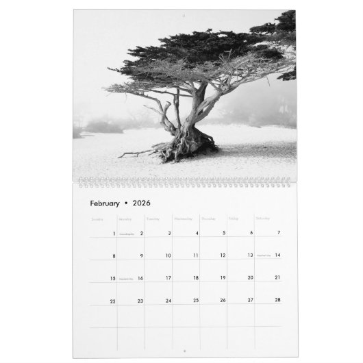 Charles Christopher Photographs - 2026 Calendar Kalender (Feb 2026)