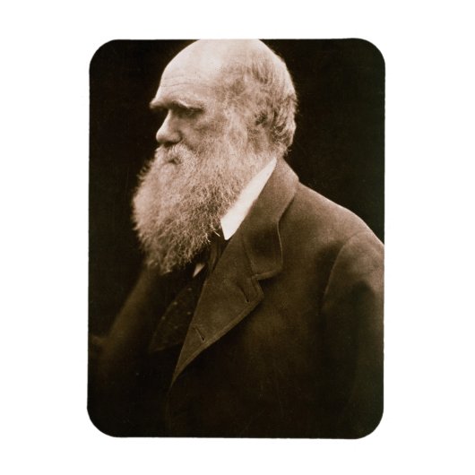 Charles Darwin (1809-82) (foto) Magneet (Verticaal)