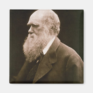 Charles Darwin (1809-82) (foto) Magneet