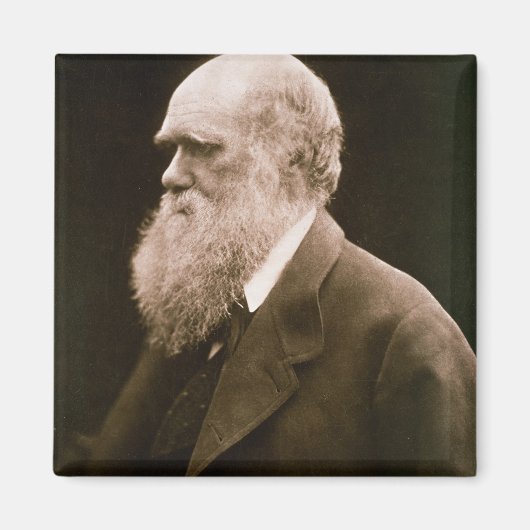 Charles Darwin (1809-82) (foto) Magneet (Voorkant)