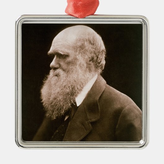 Charles Darwin (1809-82) (foto) Metalen Ornament (Voorkant)
