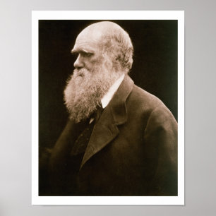 Charles Darwin (1809-82) (foto) Poster
