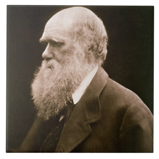 Charles Darwin (1809-82) (foto) Tegeltje (Voorkant)