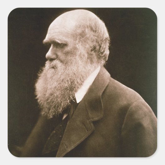 Charles Darwin (1809-82) (foto) Vierkante Sticker (Voorkant)