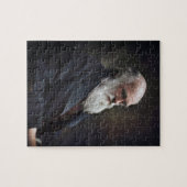 Charles Darwin 1878 Gekleurd Legpuzzel (Horizontaal)