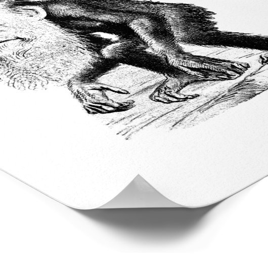 Charles Darwin als appe Poster (Hoek)