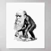 Charles Darwin als appe Poster (Voorkant)