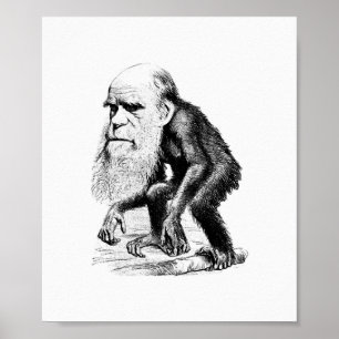 Charles Darwin als appe Poster