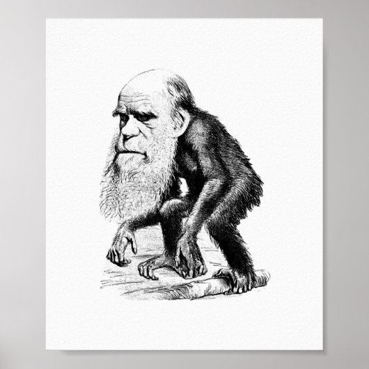 Charles Darwin als appe Poster (Voorkant)