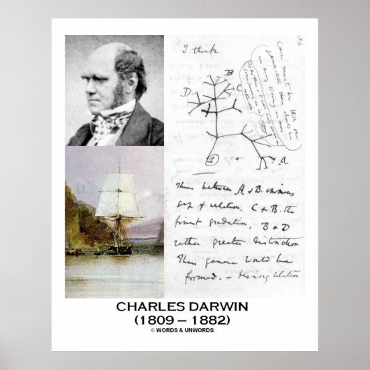 Charles Darwin Collage HMS Beagle Evolution Poster (Voorkant)