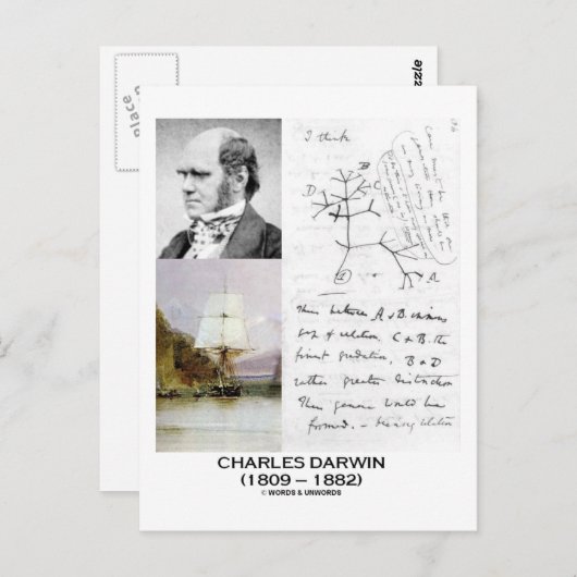 Charles Darwin (Darwin HMS Beagle Phylogenetics) Briefkaart (Voorkant / Achterkant)