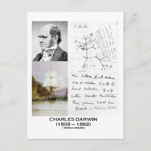 Charles Darwin (Darwin HMS Beagle Phylogenetics) Briefkaart