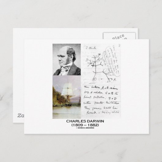 Charles Darwin (Darwin HMS Beagle Phylogenetics) Briefkaart (Voorkant / Achterkant)