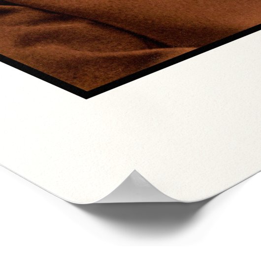 Charles Darwin, geautograveerd Poster (Hoek)