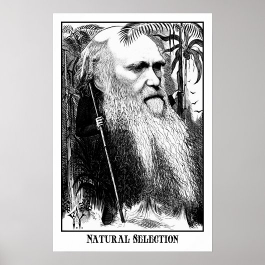 Charles Darwin - natuurlijke selectie Poster (Voorkant)