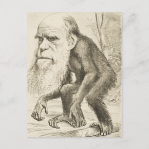 Charles Darwin Original Illustration Briefkaart