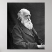 Charles Darwin Portrait - 1874 Poster (Voorkant)