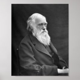 Charles Darwin Portrait - 1874 Poster
