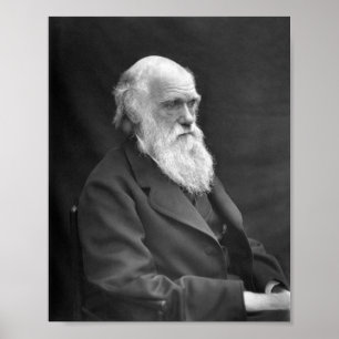 Charles Darwin Portrait - 1874 Poster