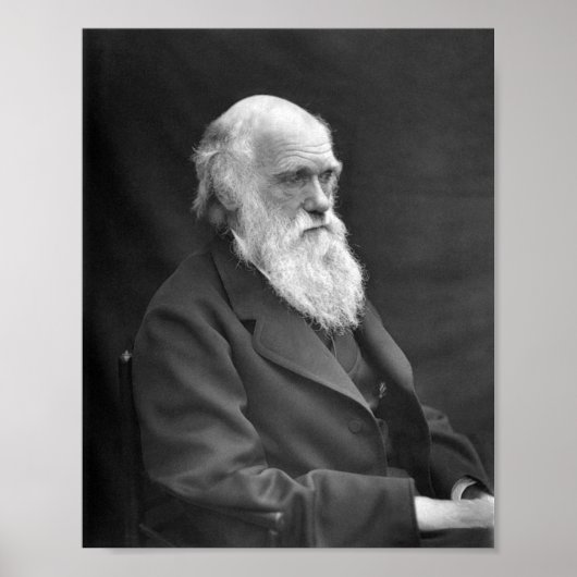 Charles Darwin Portrait - 1874 Poster (Voorkant)
